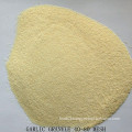 Dehydrated Garlic Granule Grade a From Factory